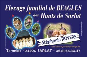 ROYERE Stépanie Elevage de Beagles